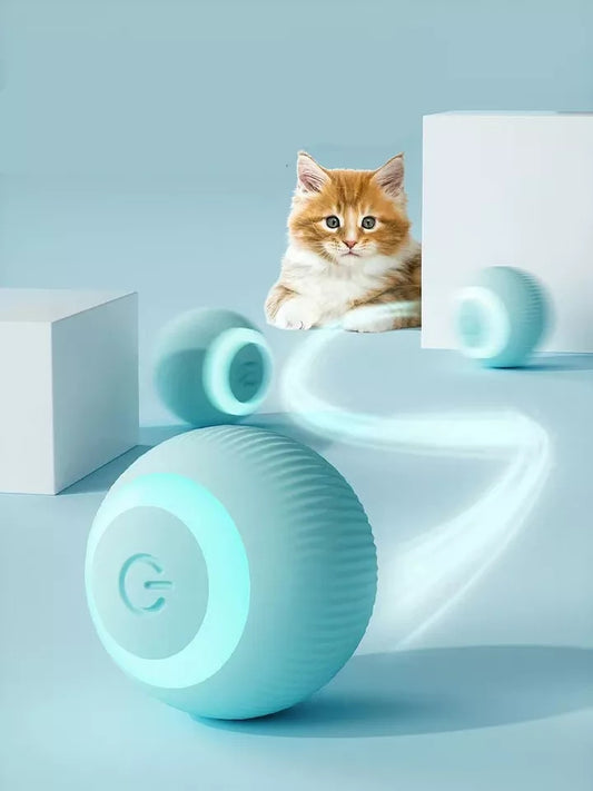 Training Self-moving Kitten Electric Cat Ball for Indoor Interactive Playing