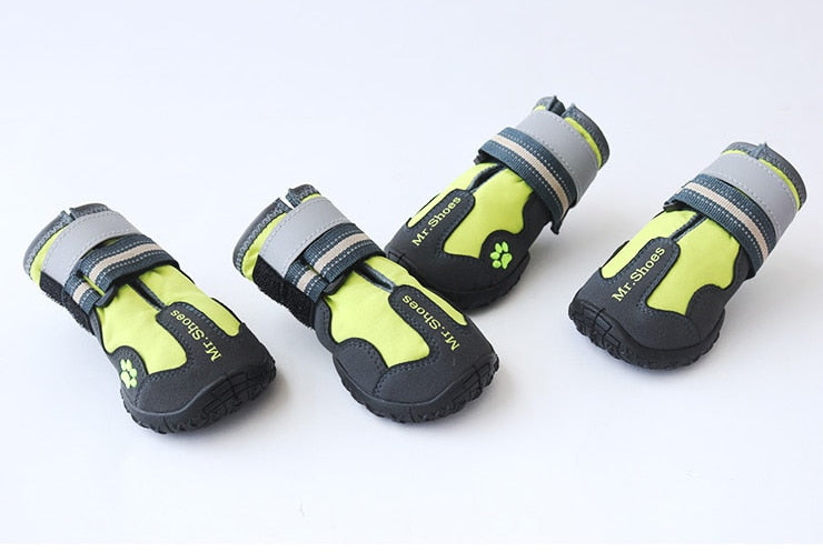 Pet Dog Shoes For Sports